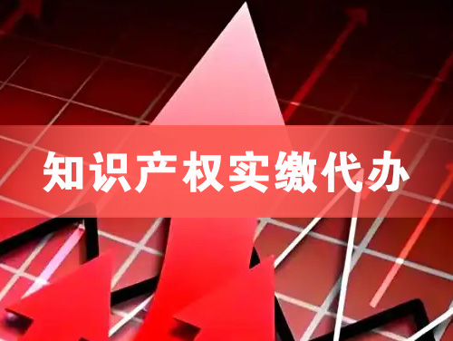 安达知识产权实缴资本代办